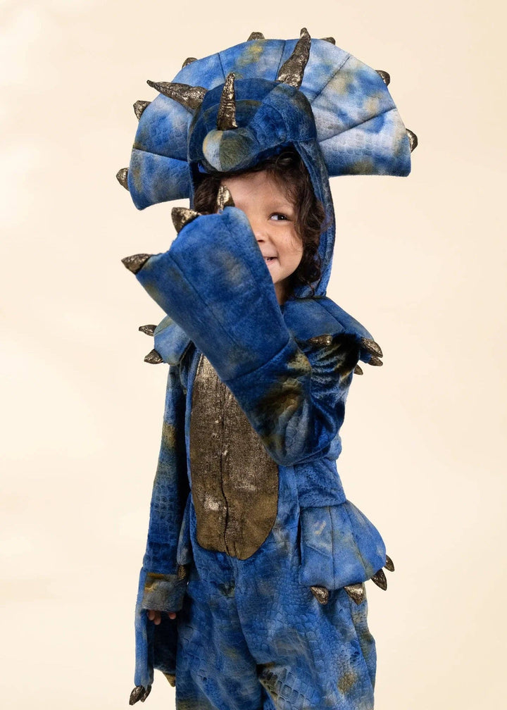 Coco Village Dinosaur Play Costume