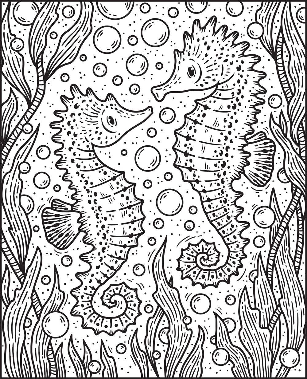 Usborne Narwhals & Other Sea Creatures Magic Painting Book