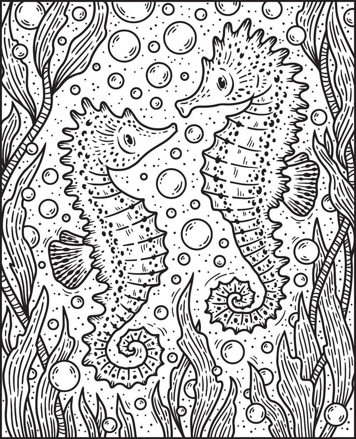 Usborne Narwhals & Other Sea Creatures Magic Painting Book