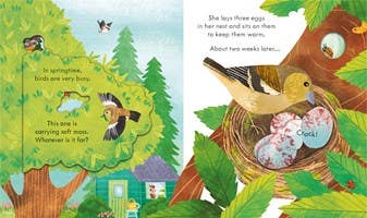 Usborne Peek Inside Springtime