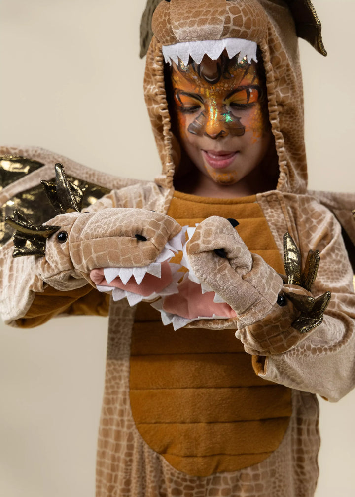 Coco Village Dragon Costume