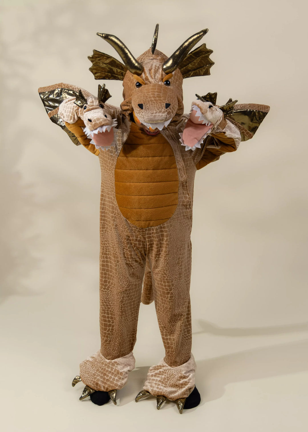 Coco Village Dragon Costume