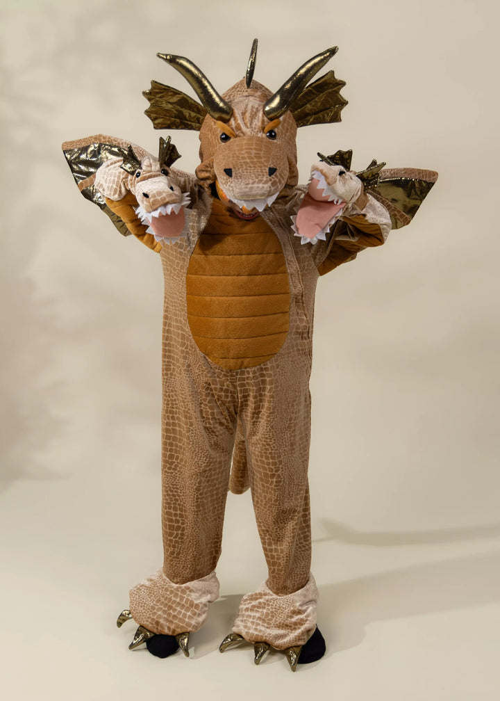 Coco Village Dragon Costume