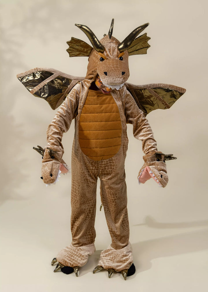 Coco Village Dragon Costume
