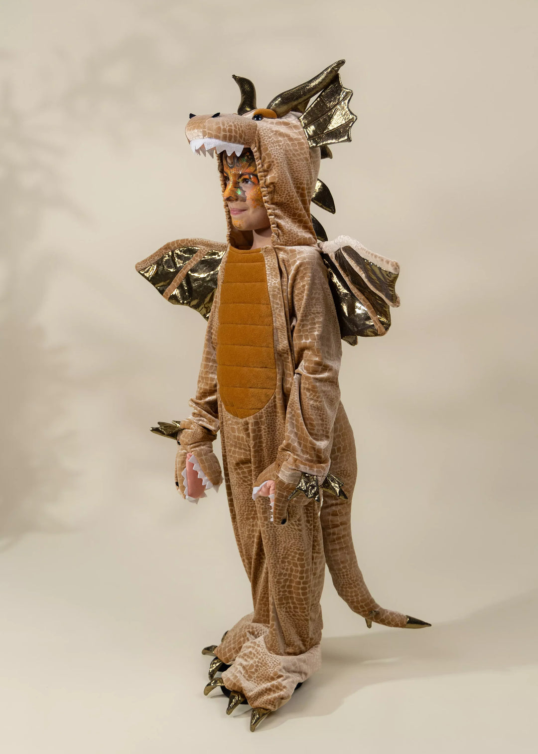 Coco Village Dragon Costume
