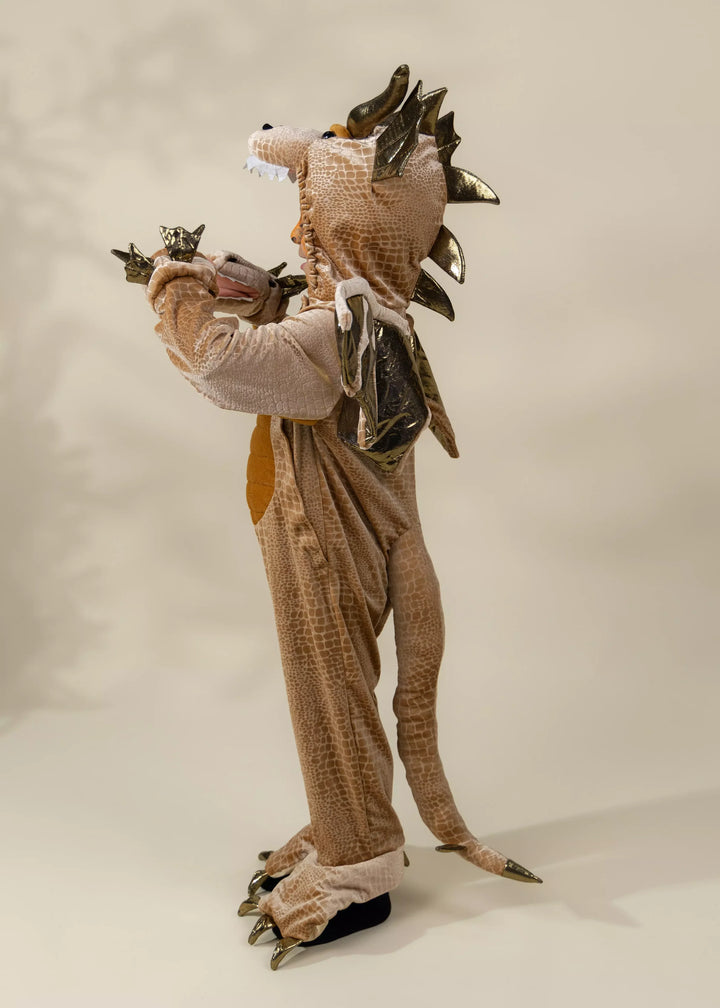 Coco Village Dragon Costume