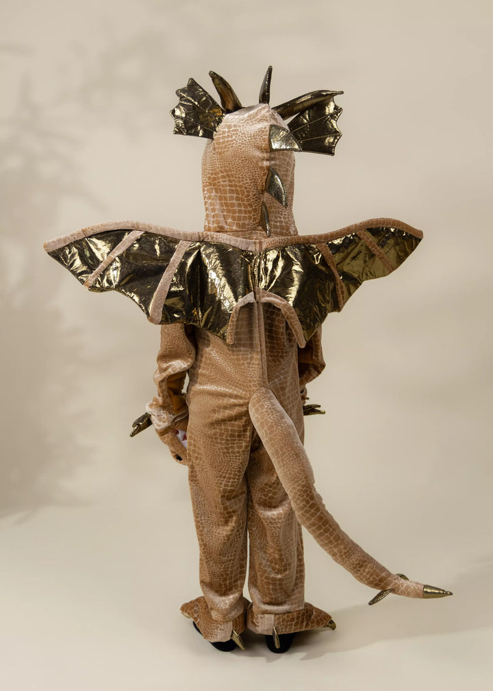 Coco Village Dragon Costume