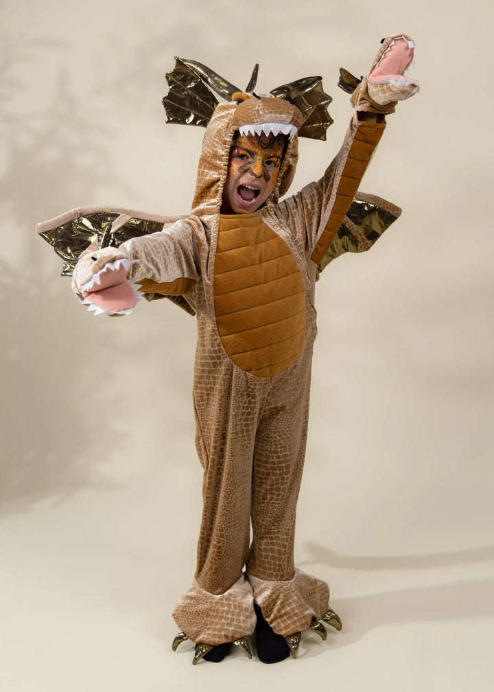 Coco Village Dragon Costume