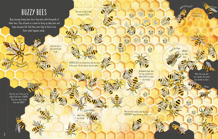 Usborne See Inside Bugs and Butterflies