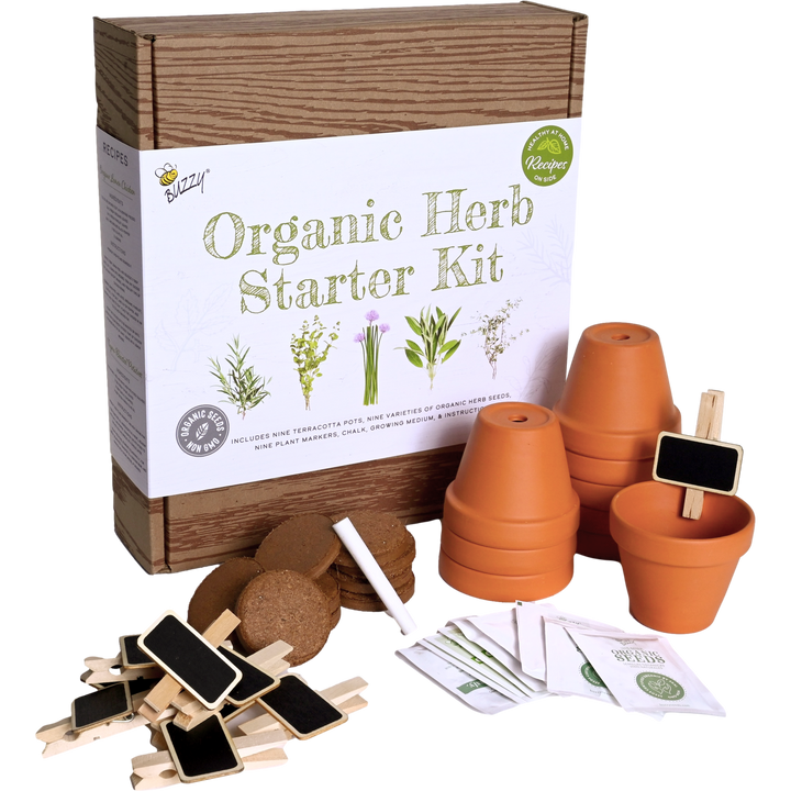Buzzy Seeds Grow Gifts Organic Herb Starter Kit - Garden Workshop Kit | 9 Herbs