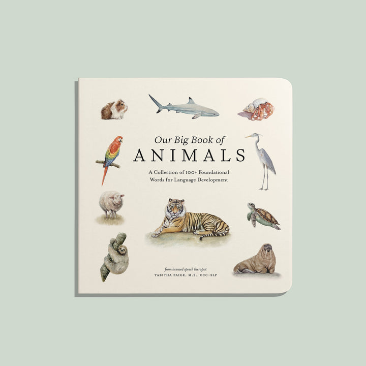 Our Big Book of Animals Board Book