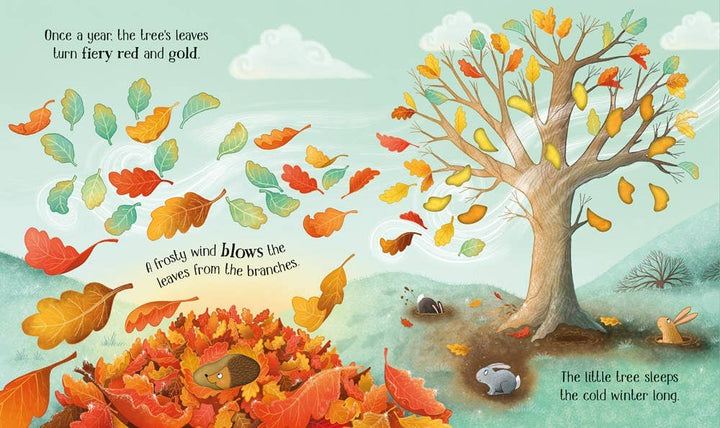 Usborne One Little Tree