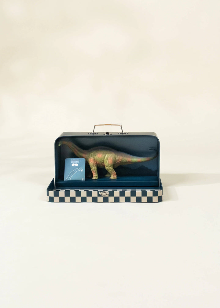 Coco Village Brachiosaurus Dinosaur in a Collectible Box