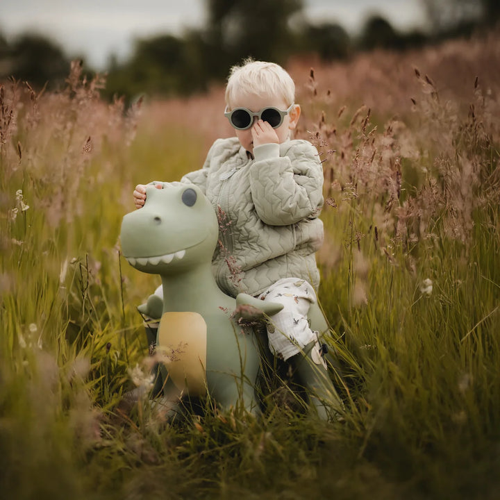 Find That Hippo Jumping Animal -Dexter The Dino