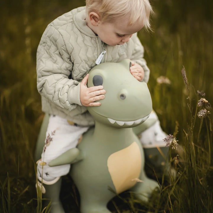 Find That Hippo Jumping Animal -Dexter The Dino