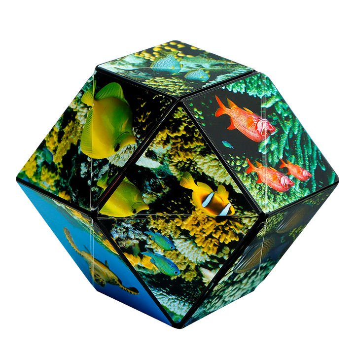 Shashibo Undersea Magnetic Puzzle Cube