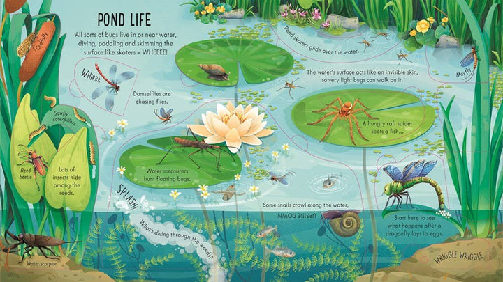 Usborne Look Inside Bug World