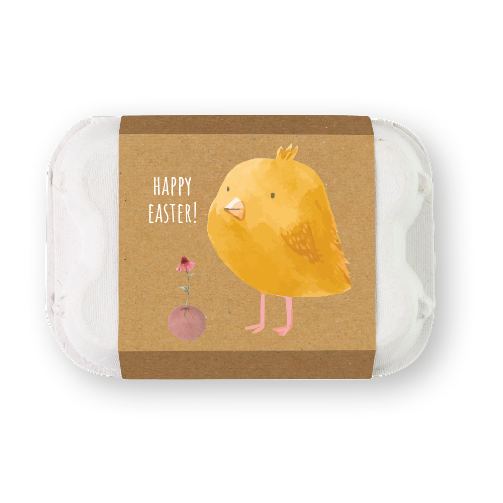 Buzzy Seeds Grow Gifts Easter Egg Carton Seed Bombs – Wildflower Gift Set