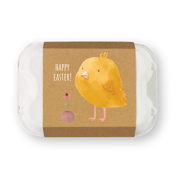 Buzzy Seeds Grow Gifts Easter Egg Carton Seed Bombs – Wildflower Gift Set