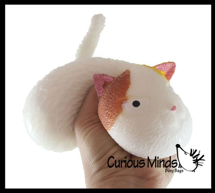 Angry Cat Soft Fluff Doh Squeeze Stress Balls  -