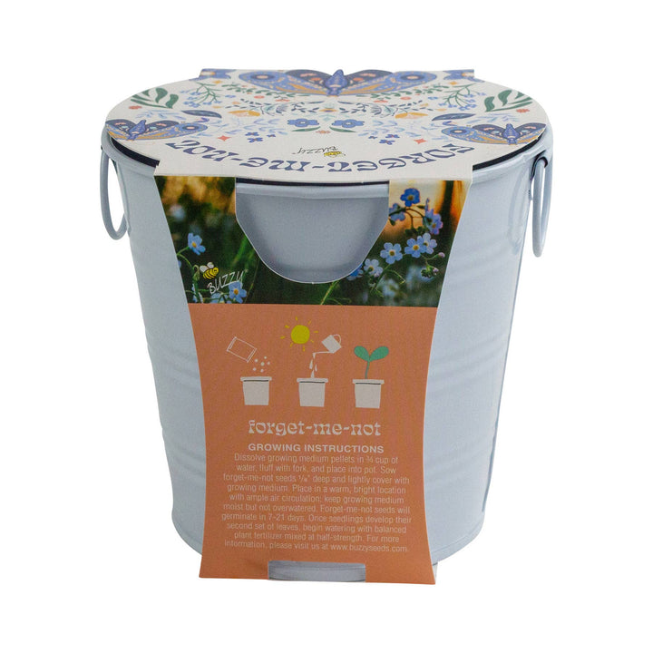 Buzzy Seeds Grow Gifts Painted Flower Grow Pail – Forget-Me-Not Indoor Garden Gift