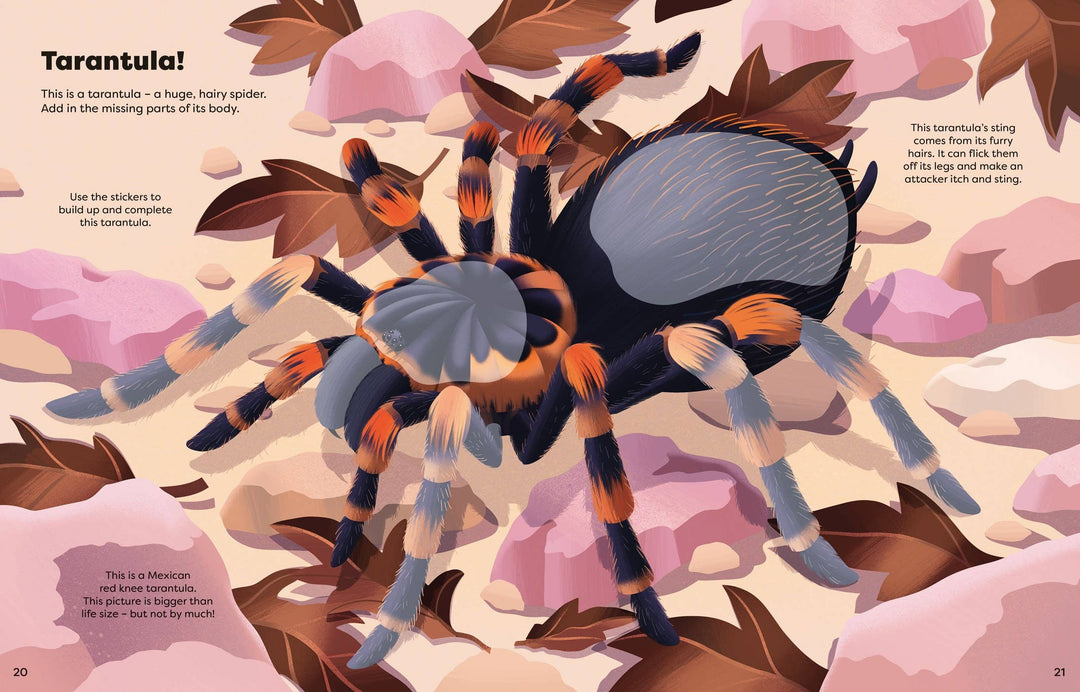 Usborne Big Sticker Book Bugs