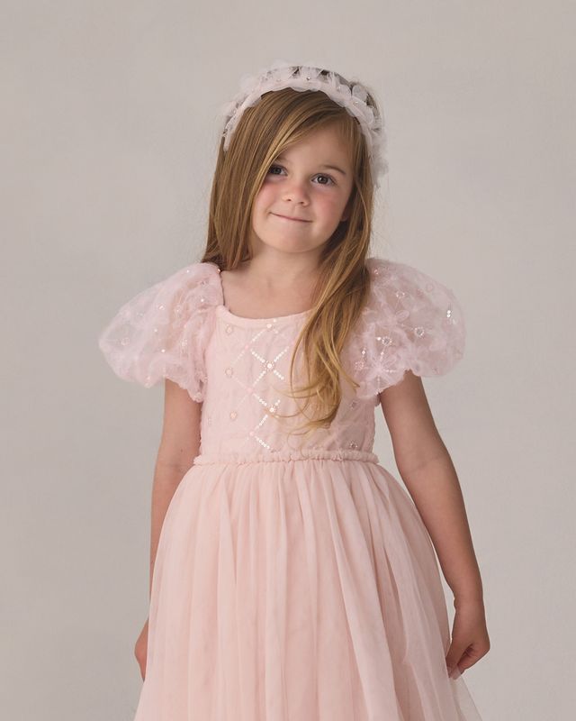 Noralee Dorothy Dress - Blush