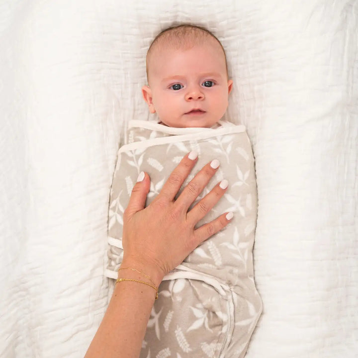 Aden + Anais Wrap Swaddles - Rockland Marsh Minky 3 Pack