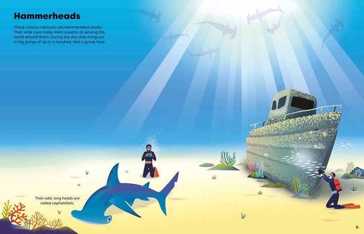 Usborne Big Sticker Book of Sharks