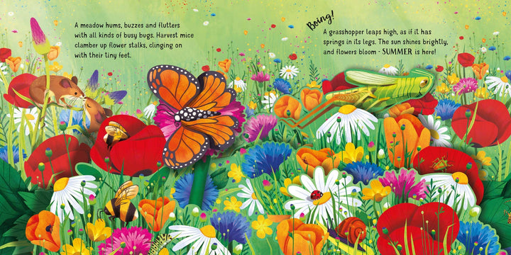 Pop-Up Seasons: Usborne