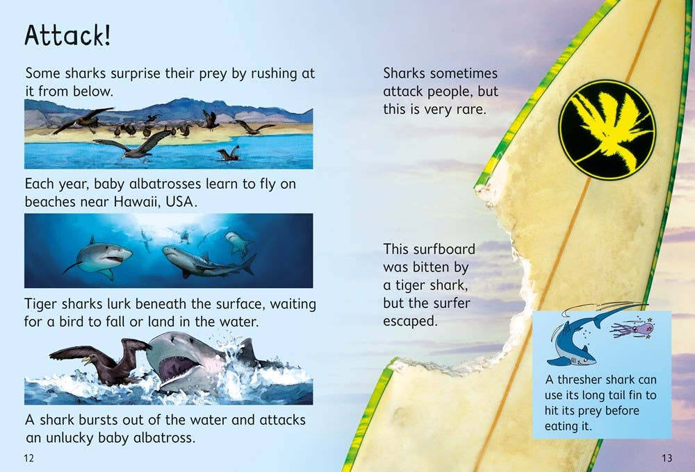 Usborne Beginners Sharks