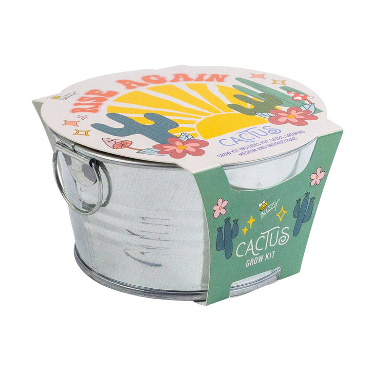 Buzzy Seeds Grow Gifts Mini Galvanized Basin Cactus Grow Kit – Indoor Plant Gift