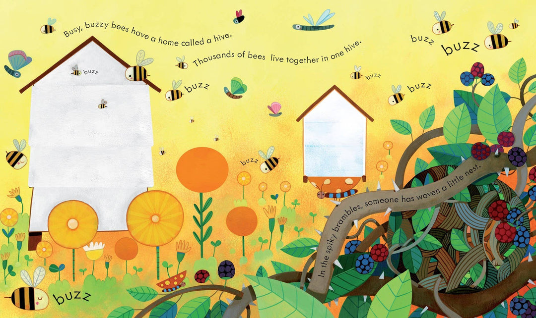 Usborne Peek Inside Animal Homes
