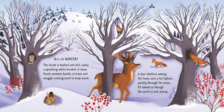 Pop-Up Seasons: Usborne