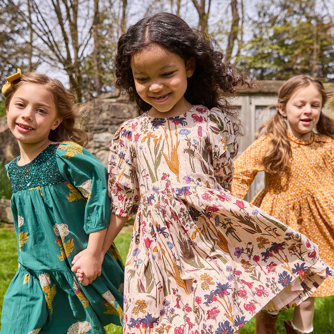 Pink Chicken Brooke Dress - Autumn Flowers