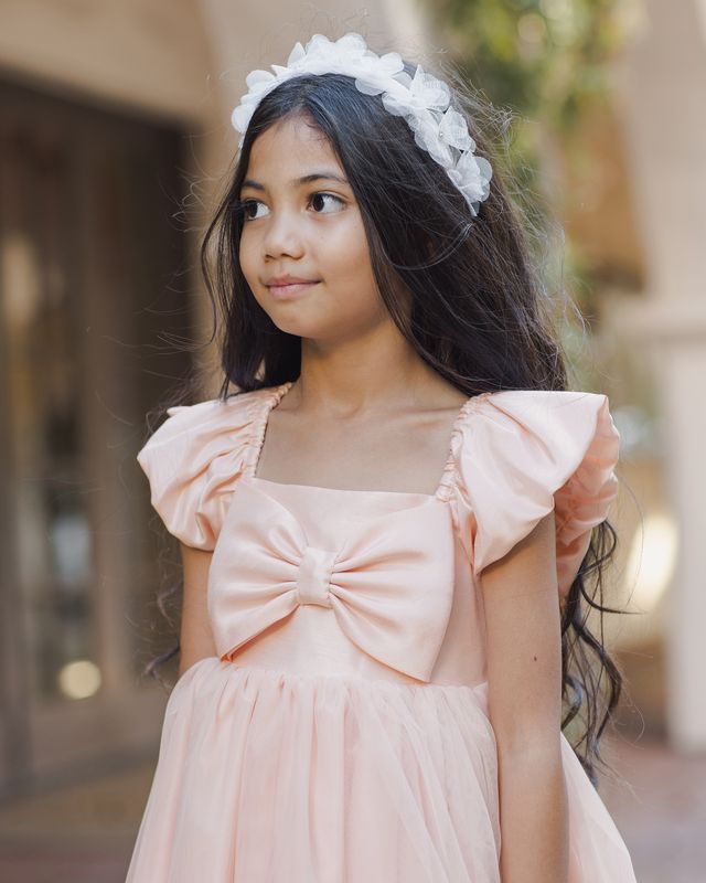 Noralee Madeline Dress - Blush