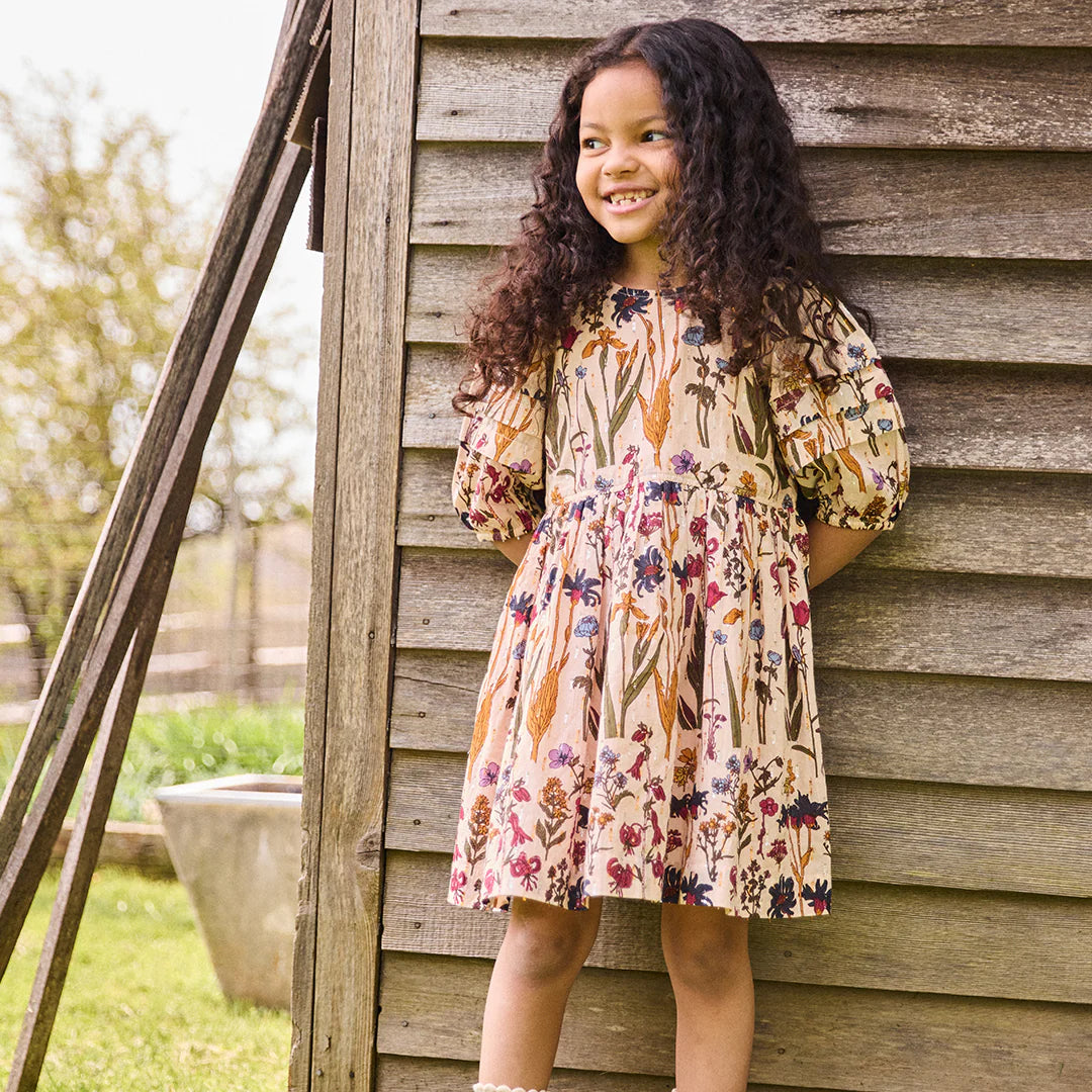 Pink Chicken Brooke Dress - Autumn Flowers