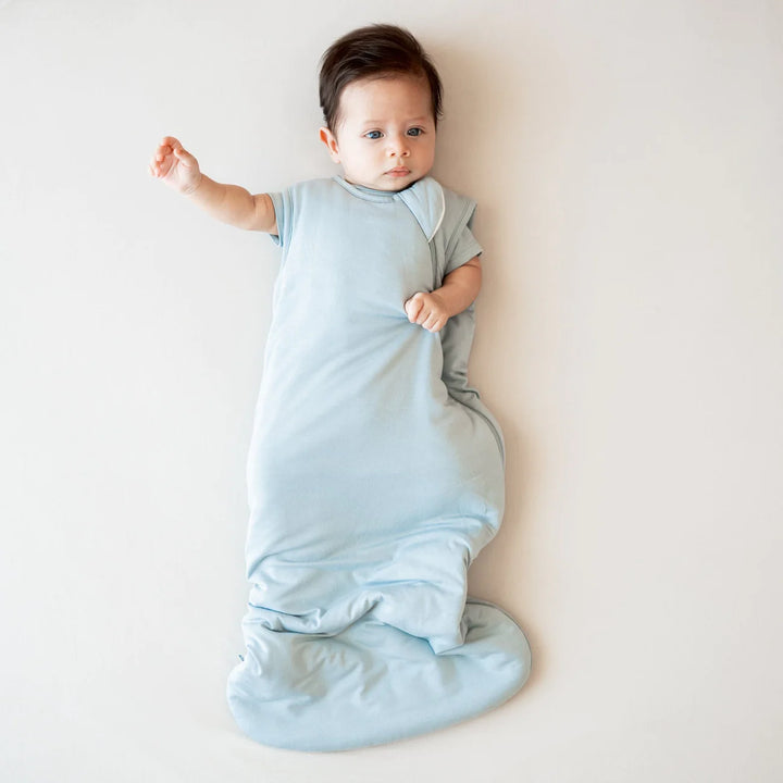 Kyte Baby Sleep Bag 1.0