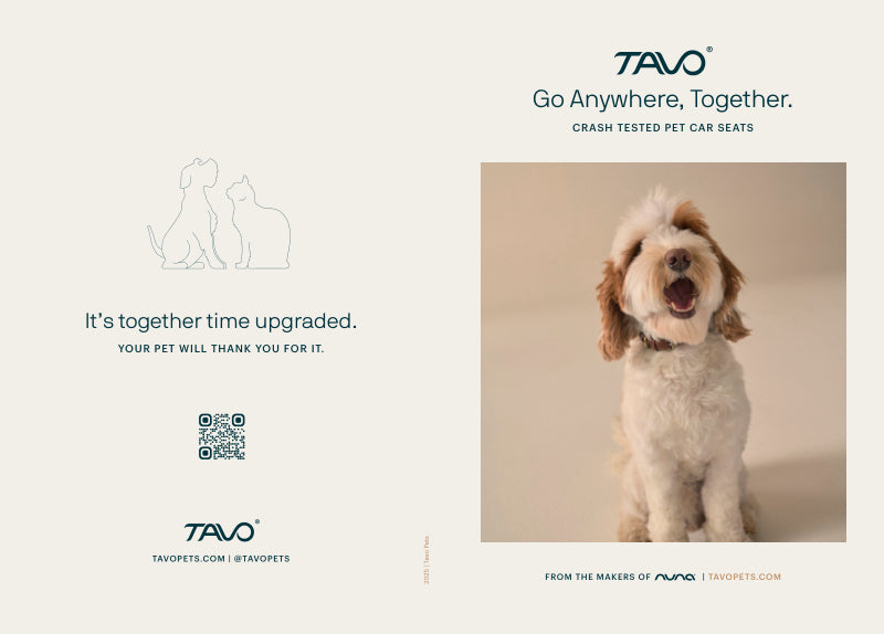 Tavo Pets Hendrick + Roscoe Pet Travel System