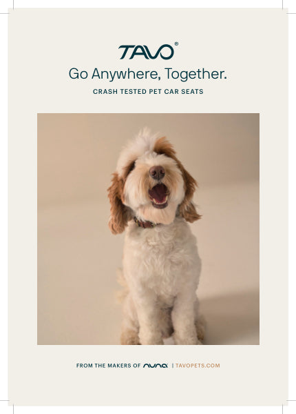 Tavo Pets Hendrick + Roscoe Pet Travel System