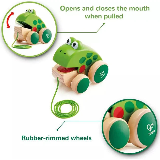 Hape Frog Pull Along