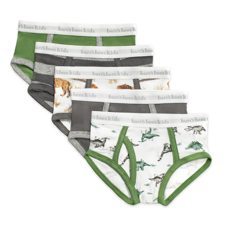 Burt's Bees Boys Set of 5 Happy Herbivores & Lions Underwear