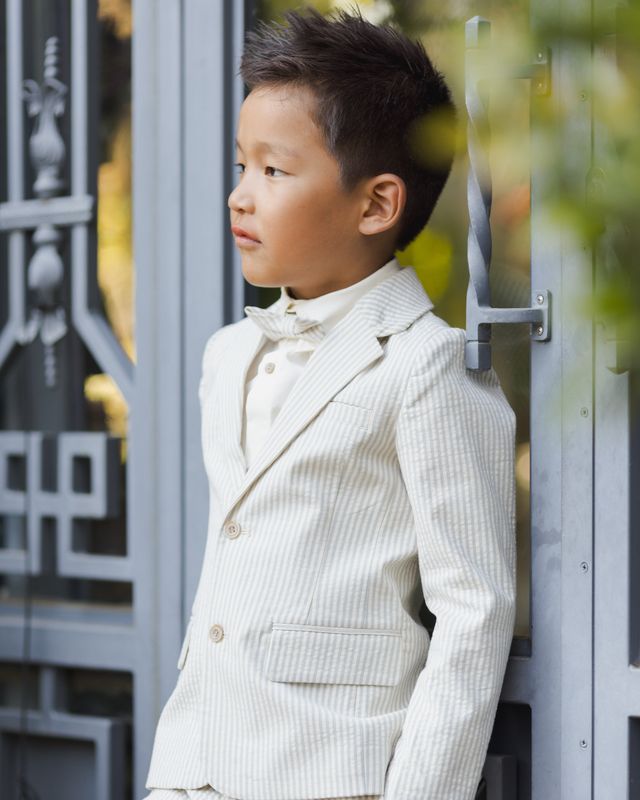 Noralee Sebastian Blazer - Sky Stripe