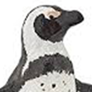 Papo African Penguin