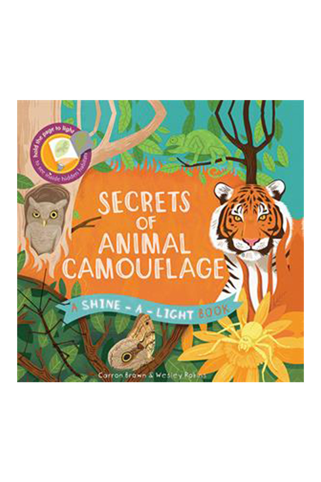 Usborne Secrets Of Animal Camouflage: A Shine-The-Light Book