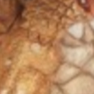 Papo Two Headed Dragon Gold Figurine